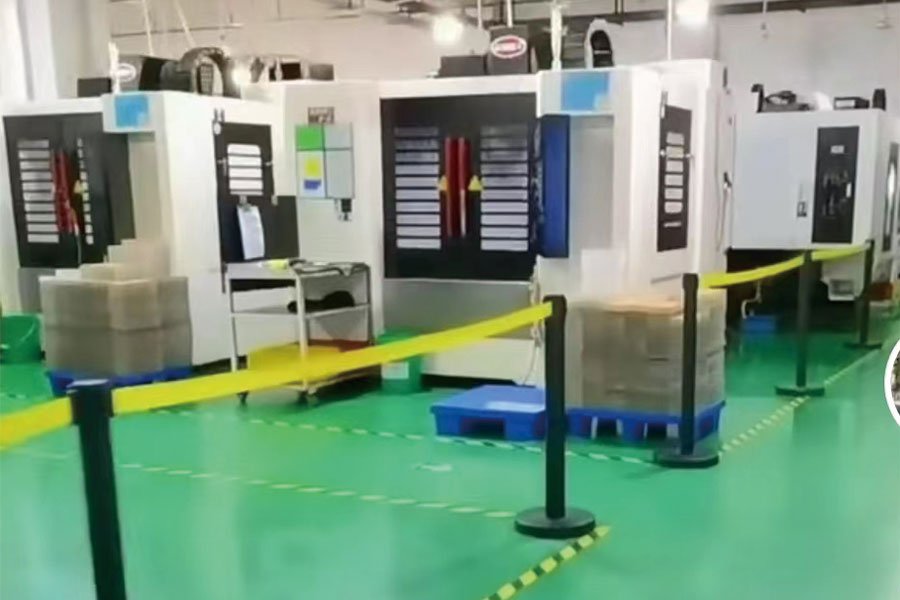 10005 (1)